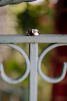 WrightWedding_GettingReady-5800