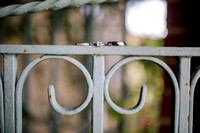 WrightWedding_GettingReady-5810